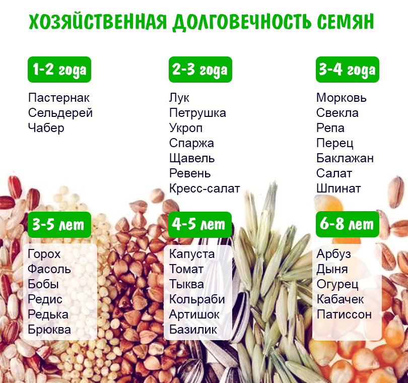 Как правильно выбрать пакетик с семенами
