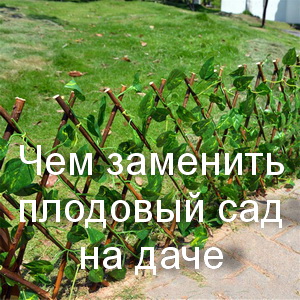 Чем заменить плодовый сад на даче
