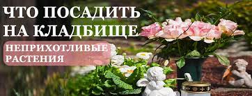 ТРЕБОВАНИЯ К ЦВЕТАМ НА КЛАДБИЩЕ