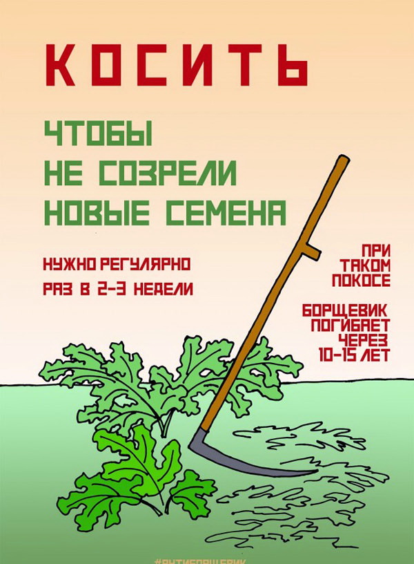 Хотите меньше прополки и больше урожая? Научитесь использовать сорняки правильно – без лишнего труда! Хотите меньше прополки и больше урожая? Научитесь использовать сорняки правильно – без лишнего труда!