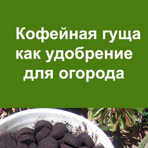 Компостирование с кофейной гущей