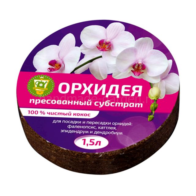 Полноценный уход за орхидеями