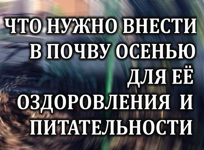 Оживление почвы после сезона: Часто задаваемые вопросы
