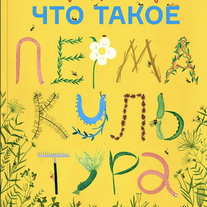 Что такое пермакультура и почему она идеально подходит для Подмосковья