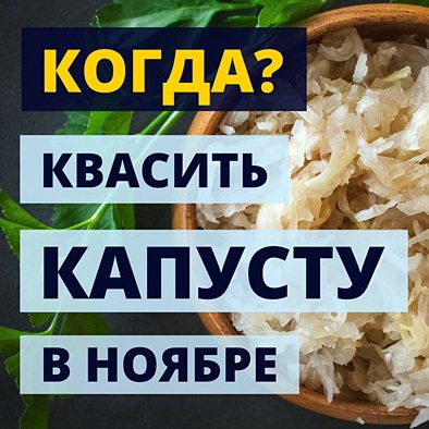 Лучшие дни для квашения капусты в ноябре
