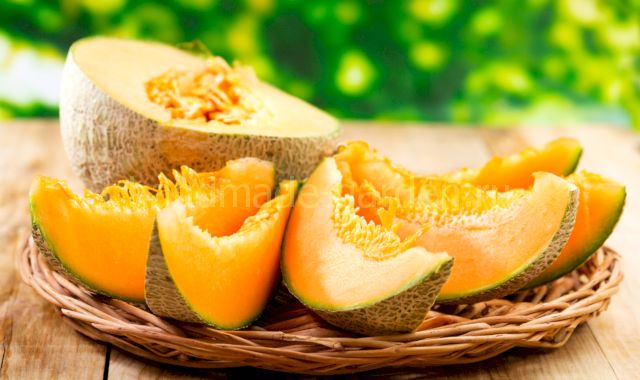Благоприятные для выращивания бахчевых культур