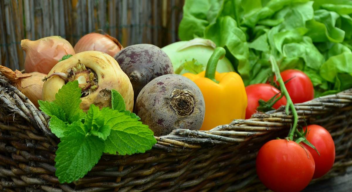 Микроорганизмы в саду &ndash; применение