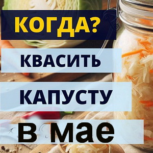 Когда солить капусту в мае 2025 Когда солить капусту в мае 2025