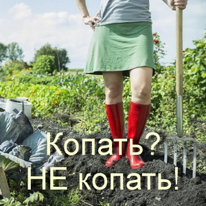 Отказ от перекопки: как улучшить почву и сэкономить силы