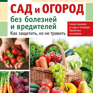 Эффективные способы борьбы с вредителями и болезнями сада.