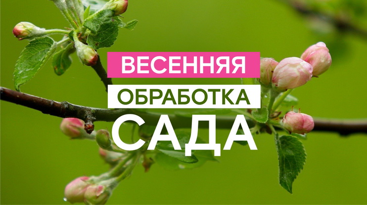 Весенняя обработка сада
