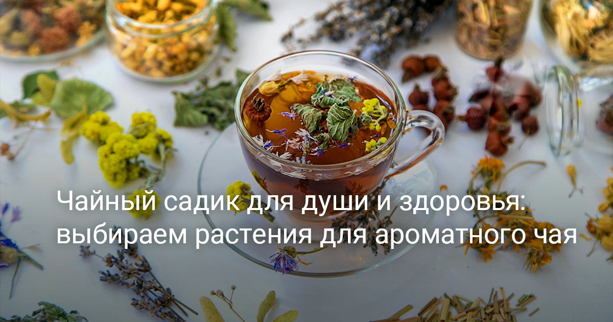 Травяной чай как лекарство