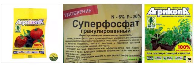 Комплексные удобрения