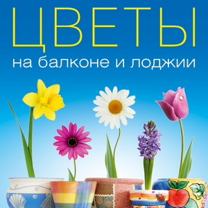 Секреты успешного выращивания цветов на балконе