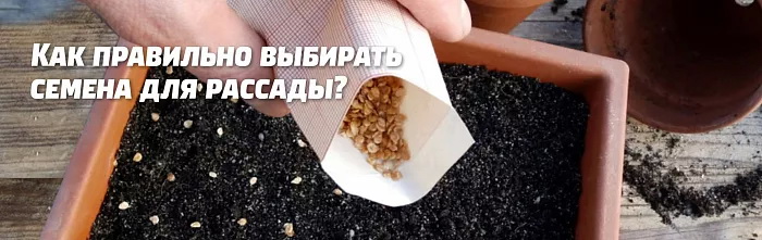 Внимательно читайте упаковку.&nbsp;На пачке с семянами указывается