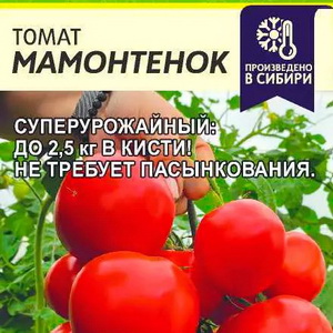 Как правильно формировать томаты сорта "Мамонтёнок"