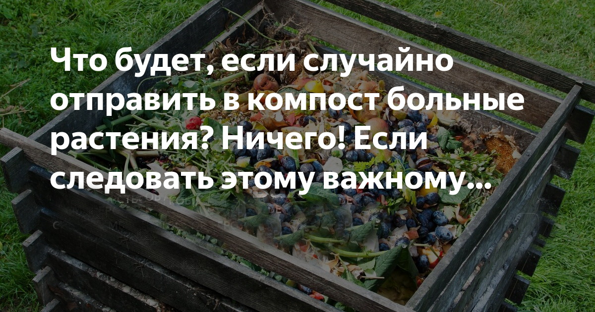Использование больных листьев в компосте