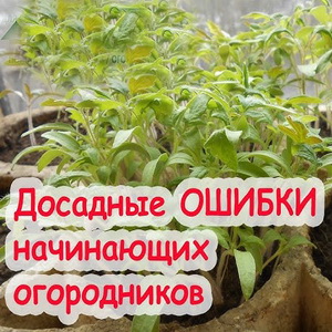 10 самых популярных ошибок, которые совершают подмосковные садоводы