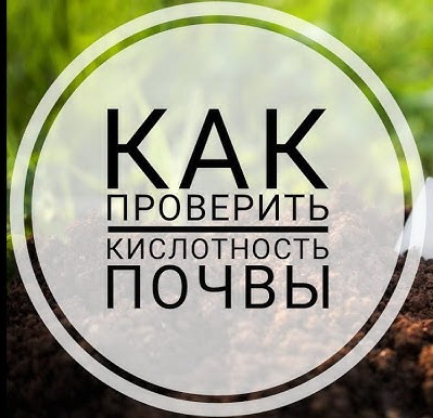 Секреты определения кислотности почвы