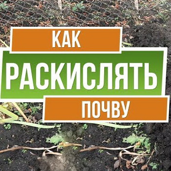 Добавление извести в почву