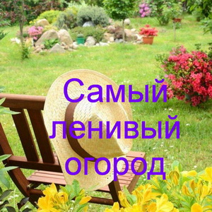 Самый ленивый огород в мире