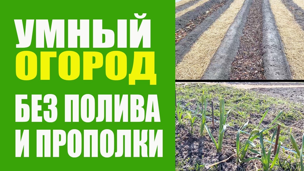 Как грамотно организовать пространство для умного огорода?