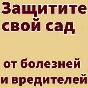 Как обрабатывать деревья весной