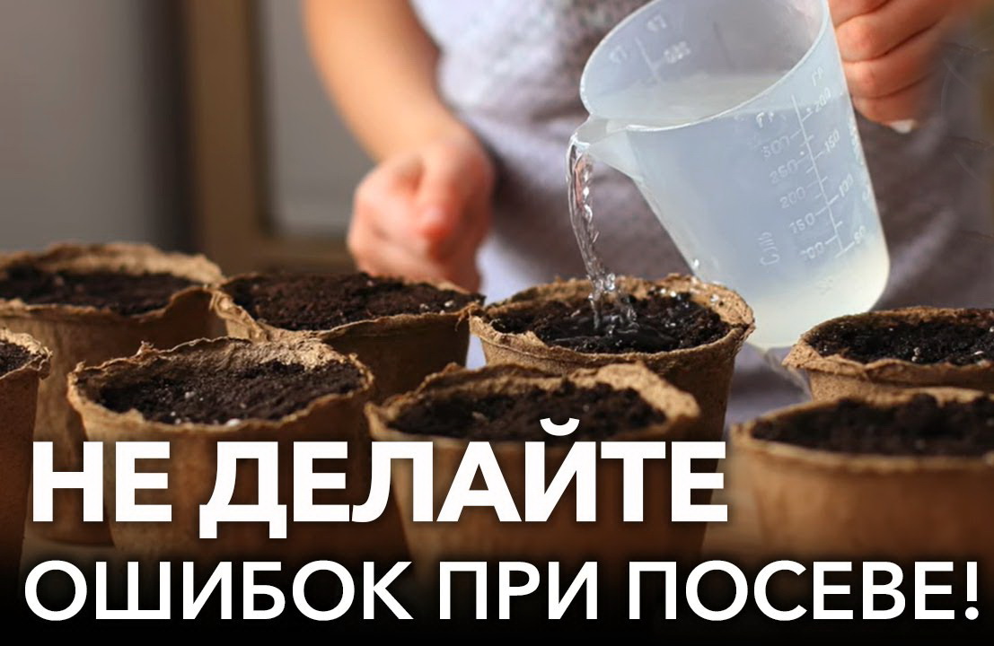 Ошибки при посеве семян