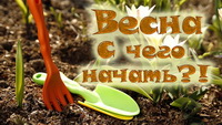 Весенние работы в саду