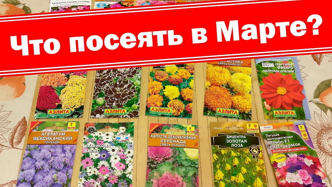 Благоприятные посадочные дни в марте