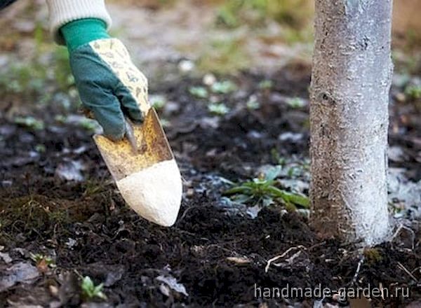 Чем заняться в в саду в мае