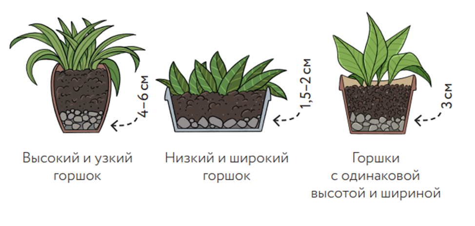 Как выбрать грунт и дренаж для домашнего растения?