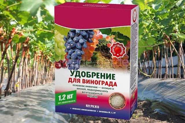 Внесение органических удобрений Внесение органических удобрений