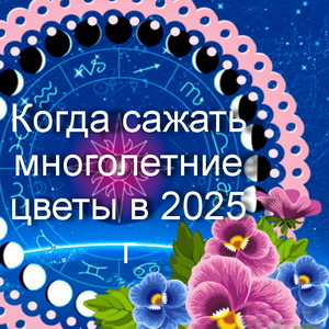 Когда сажать многолетние цветы в 2025 г