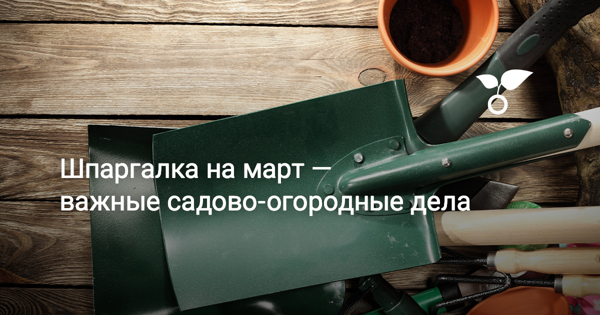 Шпаргалка на март — важные садово-огородные дела. Список работ