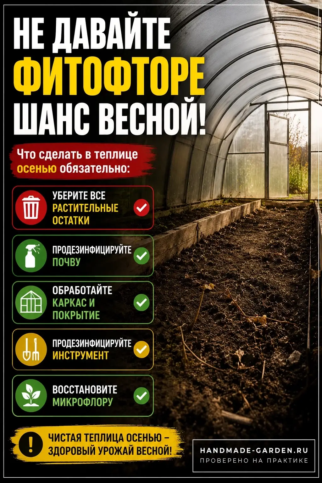 как обеззаразить теплицу осенью