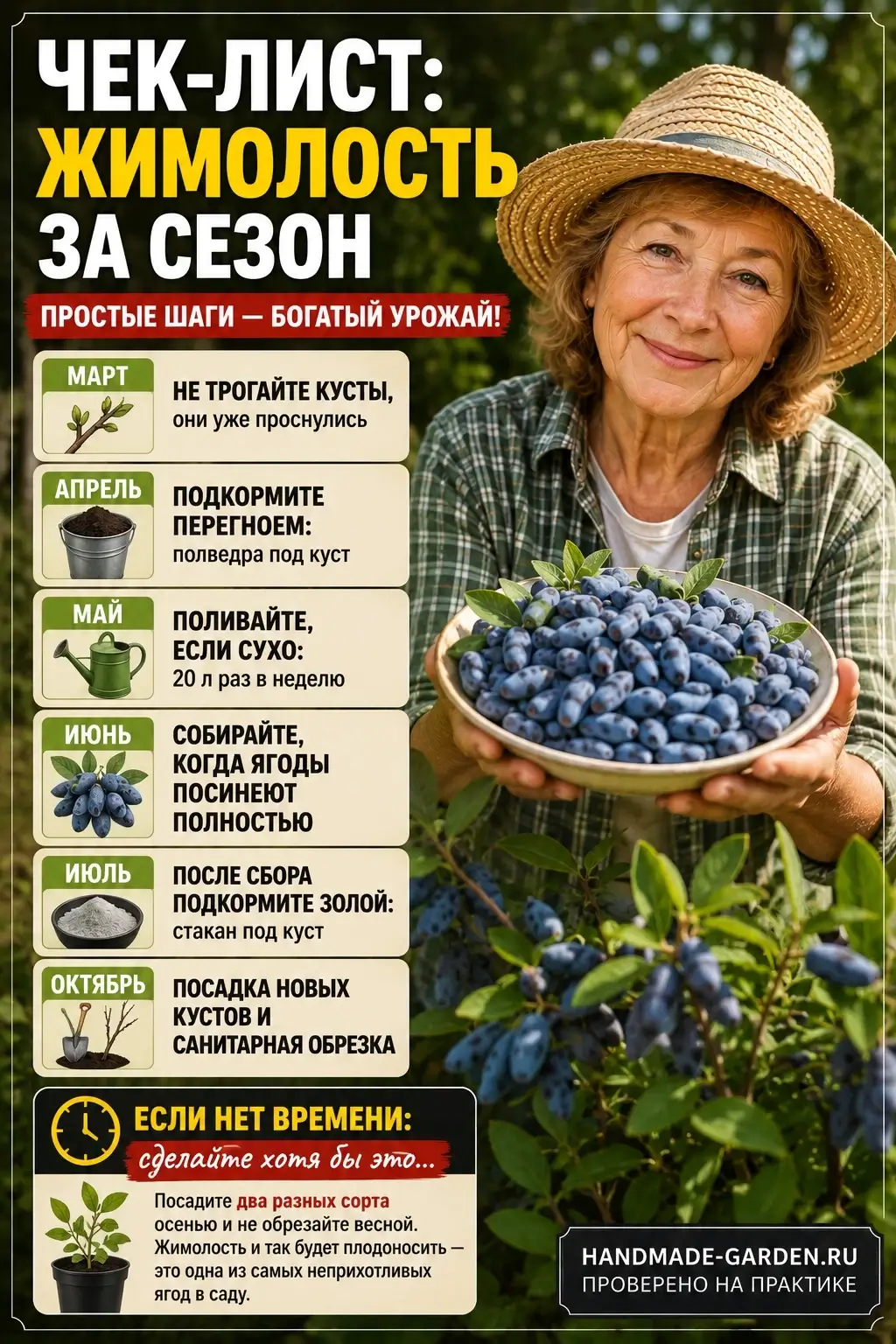Чек-лист: жимолость за сезон