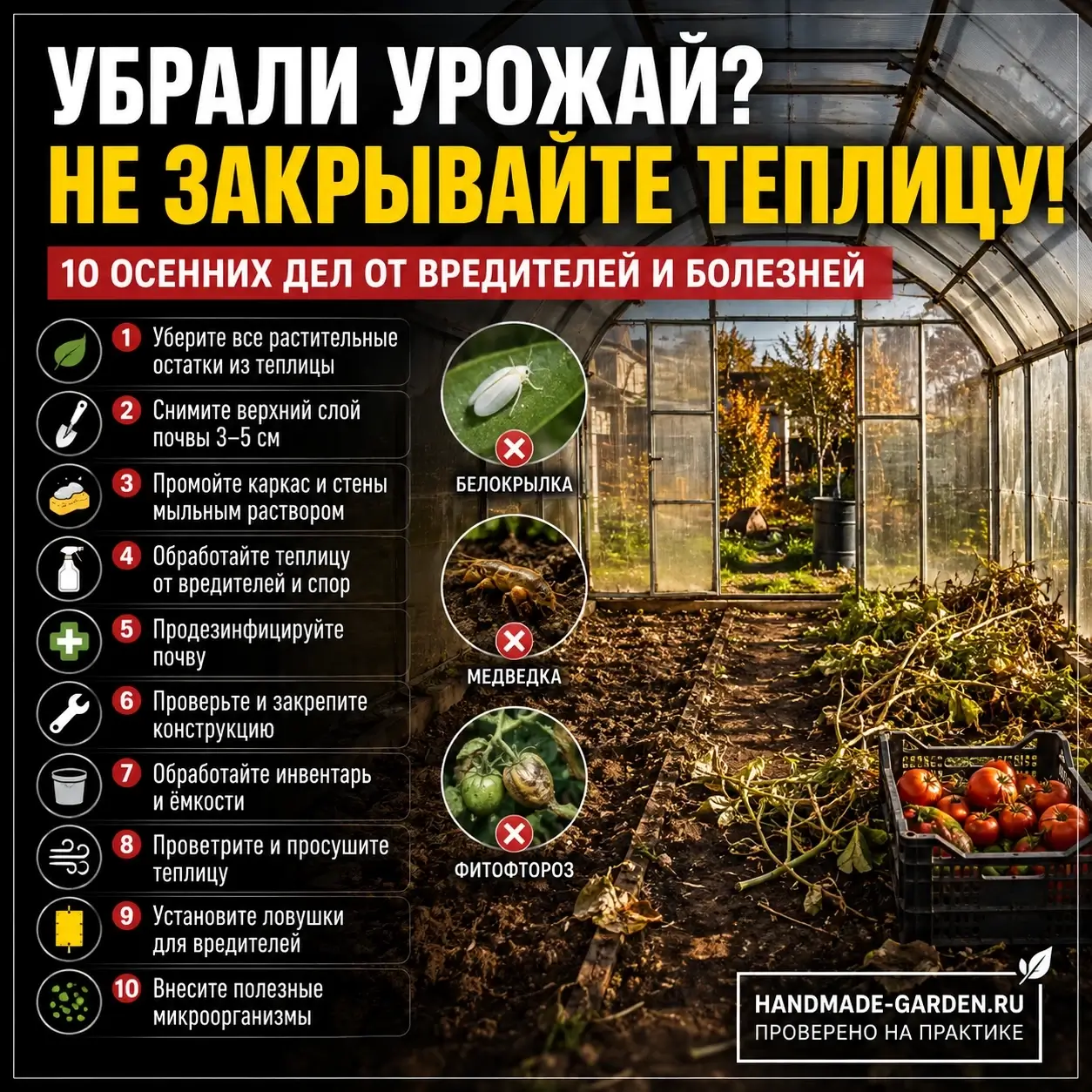 ошибки осенней подготовки теплицы