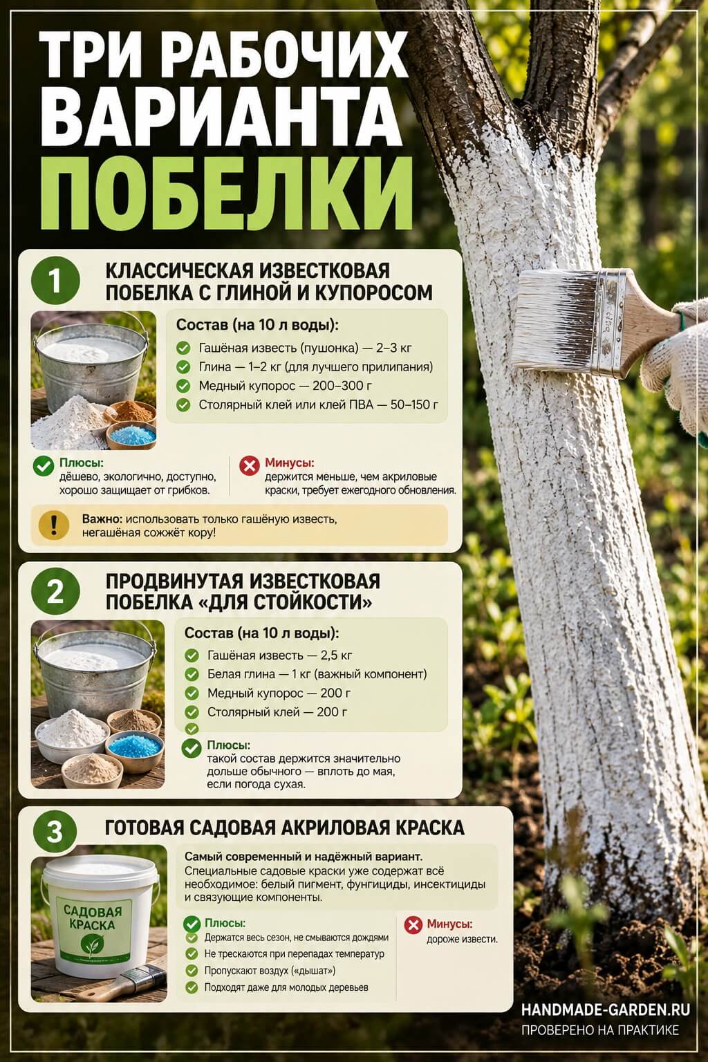 Три рабочих варианта побелки
