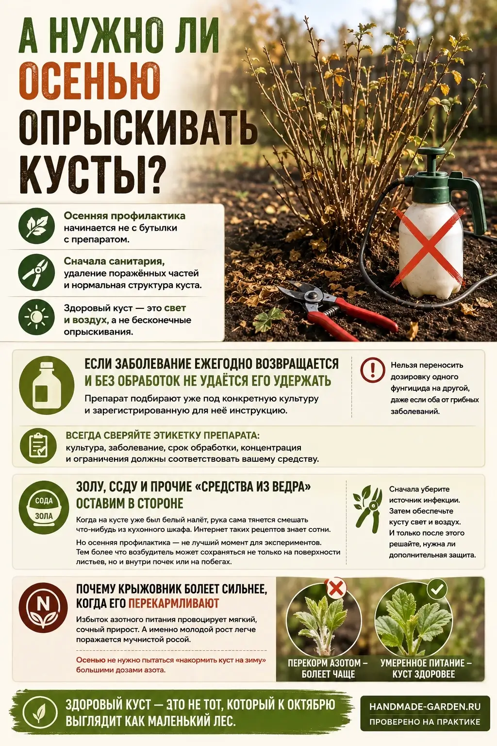 А нужно ли осенью опрыскивать кусты?