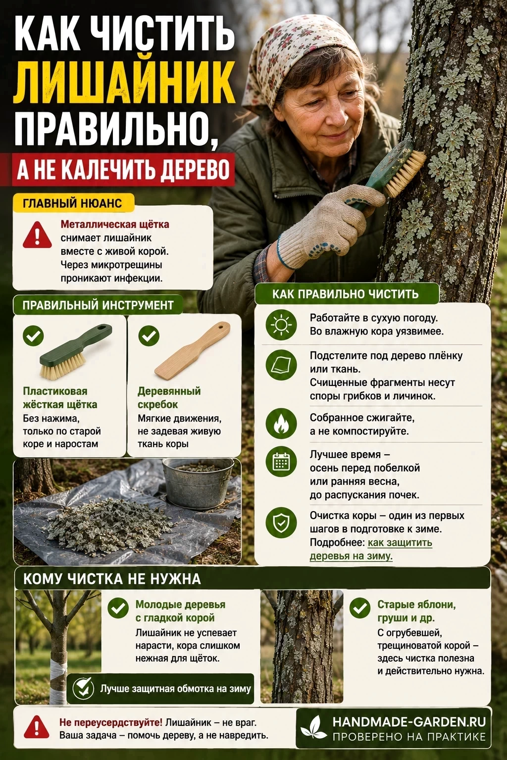Как чистить лишайник на дереве