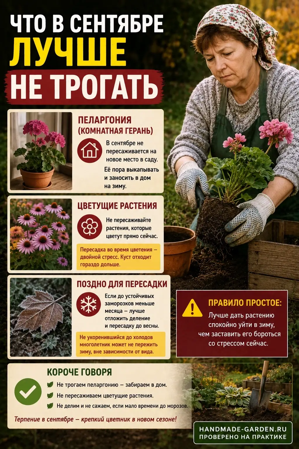Что в сентябре лучше не пересаживать