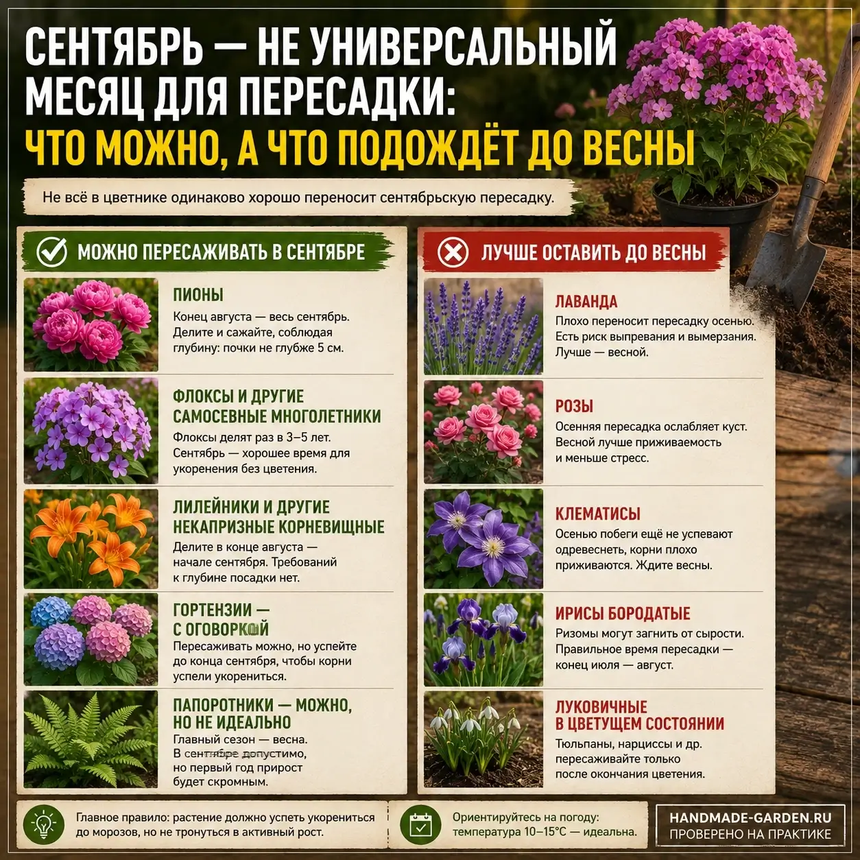 Что можно пересаживать в сентябре