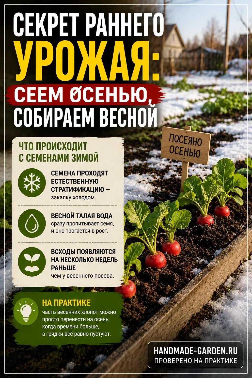 Посев под зиму