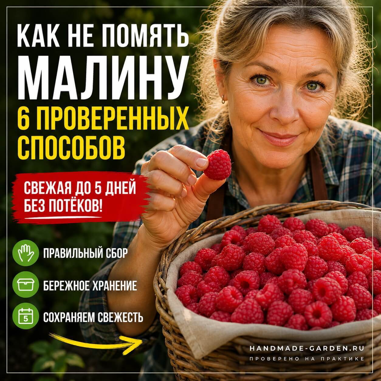 Как продлить срок хранения свежей малины