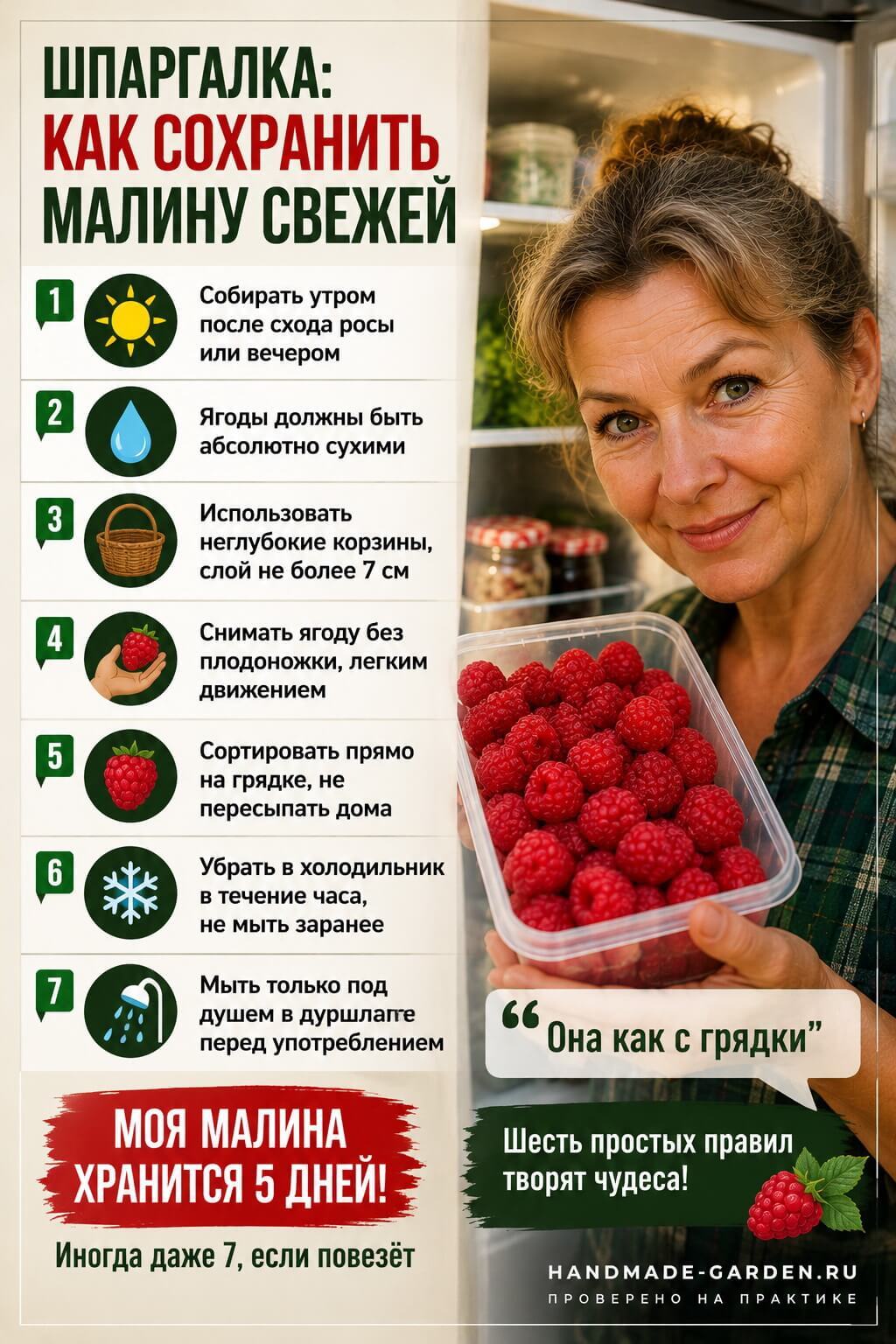 Шпаргалка: как сохранить малину свежей