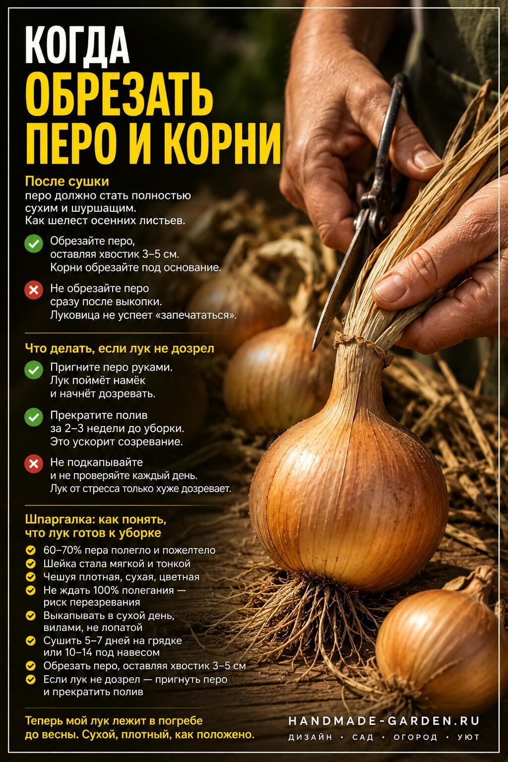 Когда обрезать перо и корни