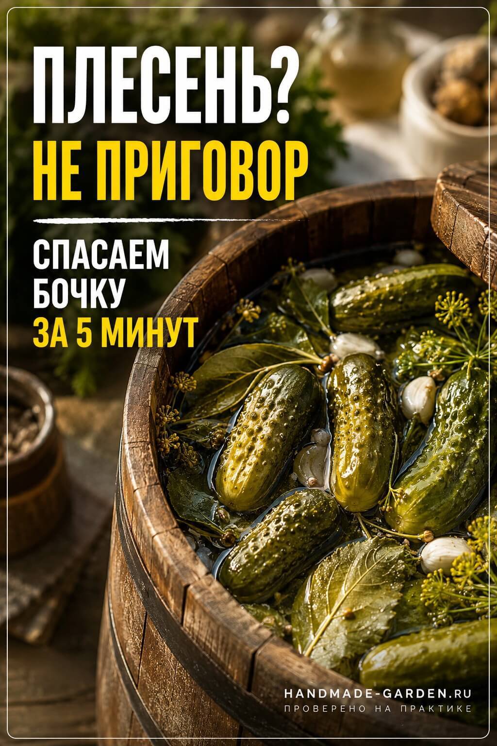 Что делать, если появилась плесень
