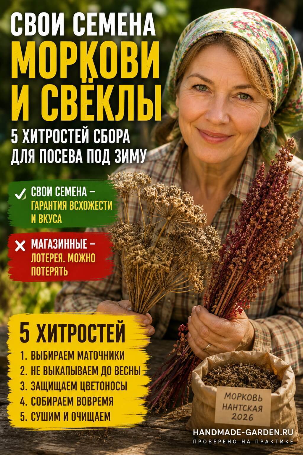 Свои семена моркови и свёклы