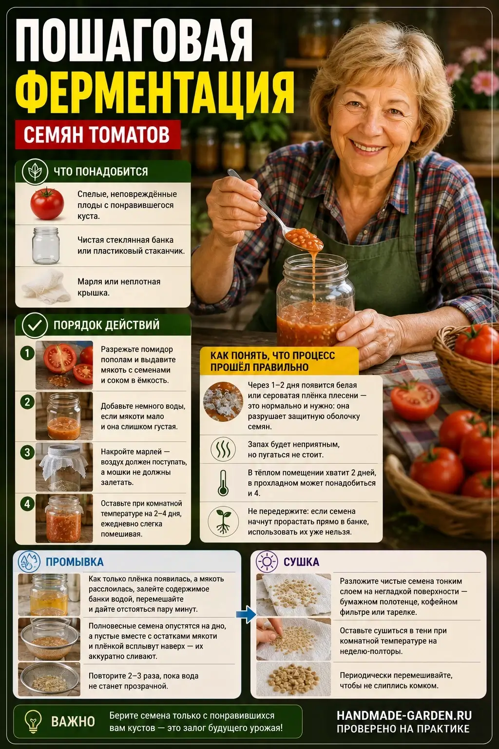 Ферментация семян помидор